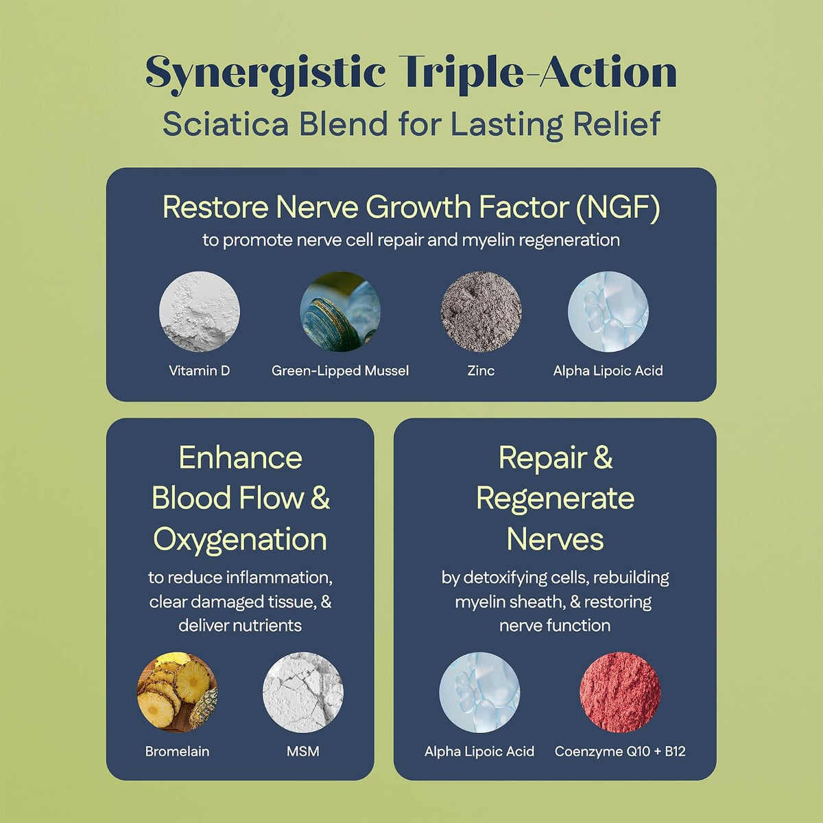 Support Nerve Health at the Source