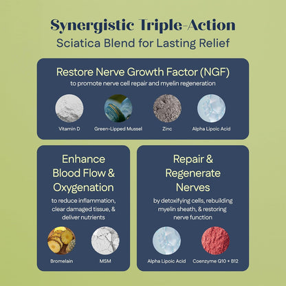 Support Nerve Health at the Source