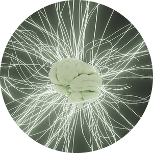 Enhances Nutrient Delivery Through Healthy Microcirculation